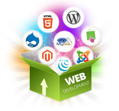 web development