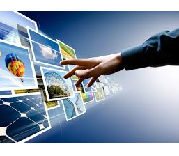 wordpress website management